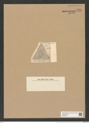 Triceratium antiguum Pant. (de-Toni-Nr.: Genus 140, Species 3951) Zeichnungen Sammlung Grunow Nr. 7431 (NHMW-BOT-W0376514)